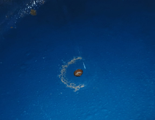 Limpieza y Desinfección contra Legionella. Interior de Acumulador